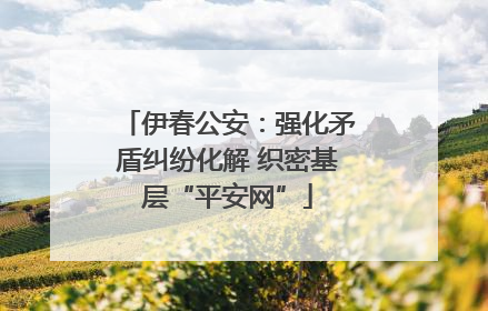 伊春公安：强化矛盾纠纷化解 织密基层“平安网”