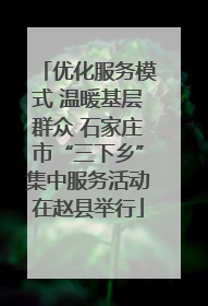 优化服务模式 温暖基层群众 石家庄市“三下乡”集中服务活动在赵县举行