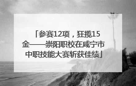 参赛12项，狂揽15金——崇阳职校在咸宁市中职技能大赛斩获佳绩