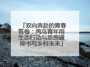 双向奔赴的青春答卷：鸬鸟青年用生态行动与思想碰撞书写乡村未来