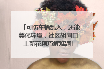 可防车辆乱入，还能美化环境，社区胡同口上新花箱巧解难题