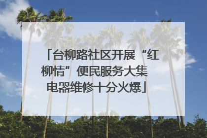 台柳路社区开展“红柳情”便民服务大集 电器维修十分火爆