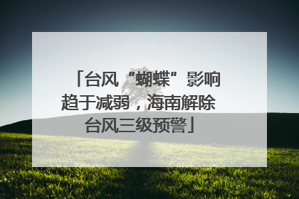 台风“蝴蝶”影响趋于减弱，海南解除台风三级预警