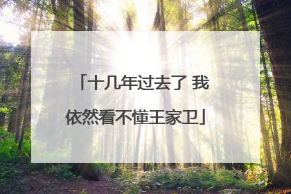 十几年过去了 我依然看不懂王家卫