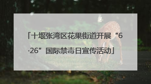 十堰张湾区花果街道开展“6·26”国际禁毒日宣传活动