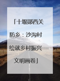 十堰郧西关防乡：沙沟村绘就乡村振兴文明画卷