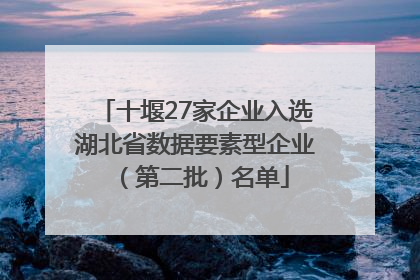 十堰27家企业入选湖北省数据要素型企业（第二批）名单