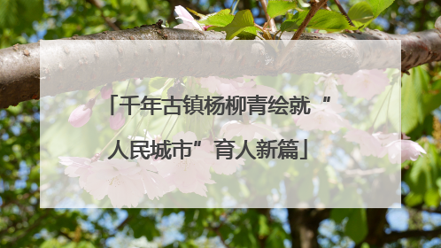 千年古镇杨柳青绘就“人民城市”育人新篇