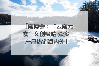 南博会：“云南元素”文创吸睛 众多产品热销海内外