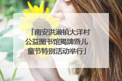 南安洪濑镇大洋村公益图书馆揭牌暨儿童节特别活动举行