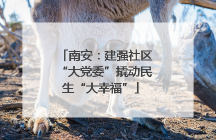 南安：建强社区“大党委”撬动民生“大幸福”