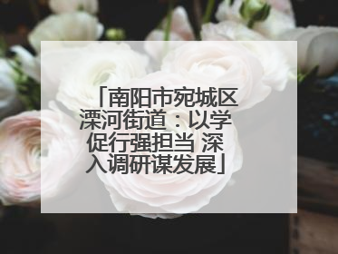 南阳市宛城区溧河街道：以学促行强担当 深入调研谋发展