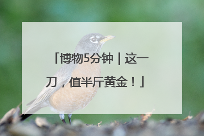 博物5分钟｜这一刀，值半斤黄金！