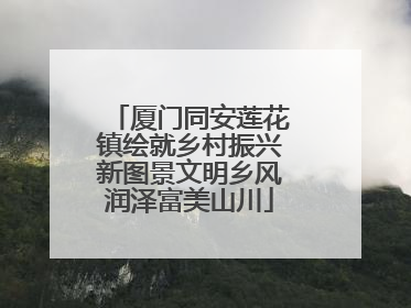 厦门同安莲花镇绘就乡村振兴新图景文明乡风润泽富美山川