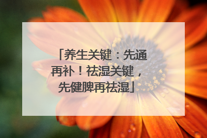 养生关键：先通再补！祛湿关键，先健脾再祛湿