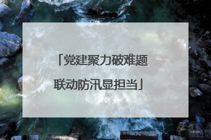 党建聚力破难题 联动防汛显担当
