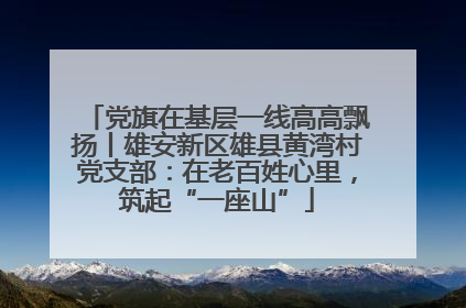 党旗在基层一线高高飘扬丨雄安新区雄县黄湾村党支部：在老百姓心里，筑起“一座山”