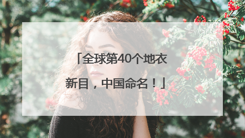 全球第40个地衣新目，中国命名！