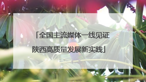 全国主流媒体一线见证陕西高质量发展新实践