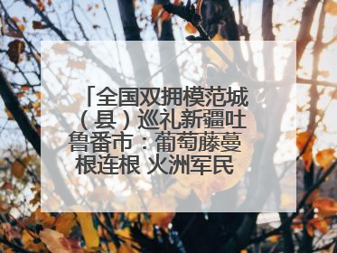 全国双拥模范城（县）巡礼新疆吐鲁番市：葡萄藤蔓根连根 火洲军民心连心