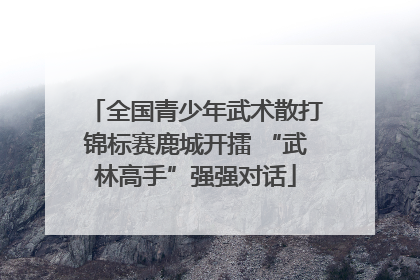全国青少年武术散打锦标赛鹿城开擂 “武林高手”强强对话