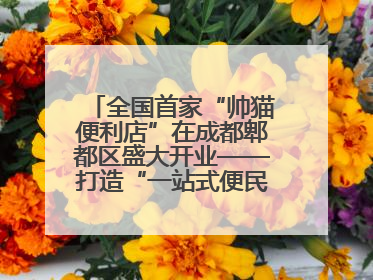 全国首家“帅猫便利店”在成都郫都区盛大开业——打造“一站式便民服务”新标杆