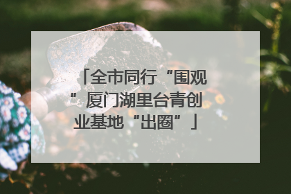 全市同行“围观”厦门湖里台青创业基地“出圈”