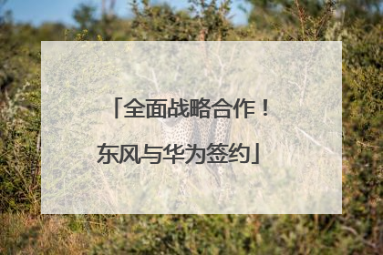 全面战略合作！东风与华为签约