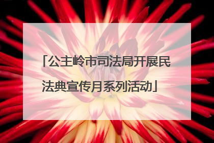 公主岭市司法局开展民法典宣传月系列活动