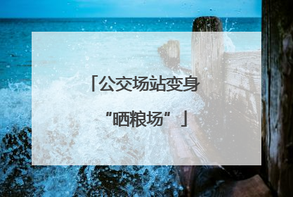 公交场站变身“晒粮场”