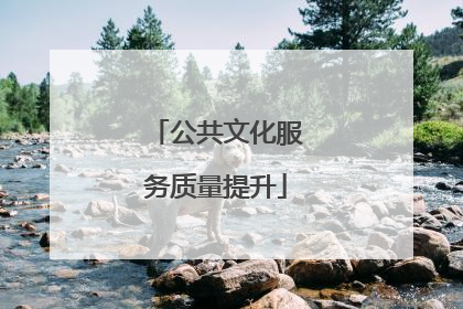 公共文化服务质量提升