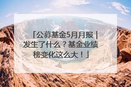 公募基金5月月报｜发生了什么？基金业绩榜变化这么大！