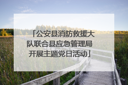 公安县消防救援大队联合县应急管理局开展主题党日活动