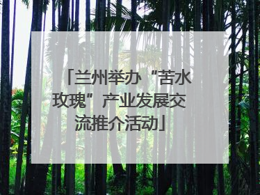 兰州举办“苦水玫瑰”产业发展交流推介活动