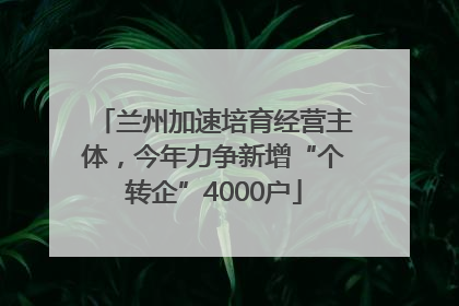 兰州加速培育经营主体，今年力争新增“个转企”4000户
