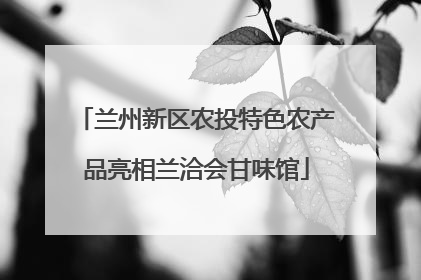 兰州新区农投特色农产品亮相兰洽会甘味馆