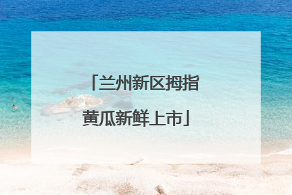 兰州新区拇指黄瓜新鲜上市