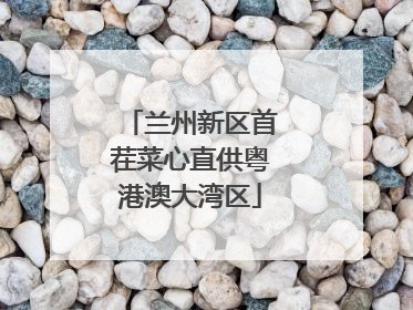 兰州新区首茬菜心直供粤港澳大湾区