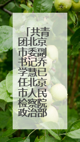 共青团北京市委副书记乔学慧已任北京市人民检察院政治部主任