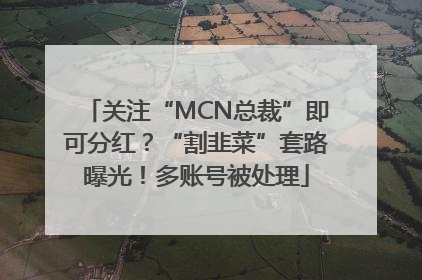 关注“MCN总裁”即可分红？“割韭菜”套路曝光！多账号被处理