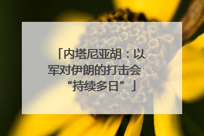 内塔尼亚胡：以军对伊朗的打击会“持续多日”