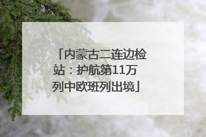 内蒙古二连边检站：护航第11万列中欧班列出境