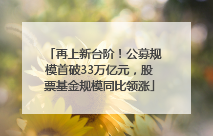 再上新台阶！公募规模首破33万亿元，股票基金规模同比领涨
