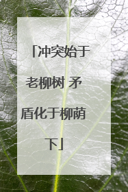 冲突始于老柳树 矛盾化于柳荫下