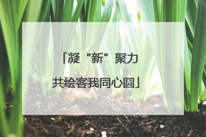 凝“新”聚力 共绘客我同心圆