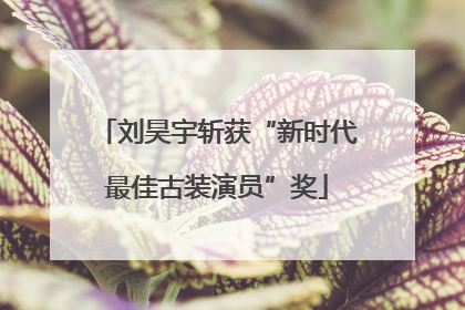 刘昊宇斩获“新时代最佳古装演员”奖