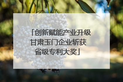 创新赋能产业升级 甘肃玉门企业斩获省级专利大奖