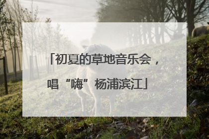 初夏的草地音乐会，唱“嗨”杨浦滨江