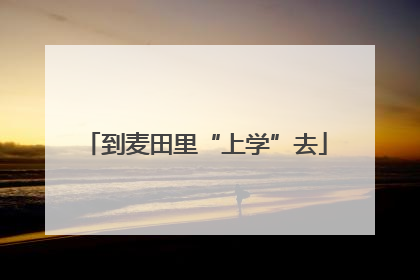 到麦田里“上学”去
