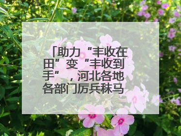 助力“丰收在田”变“丰收到手”，河北各地各部门厉兵秣马迎战“三夏”